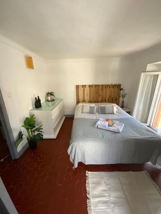 Appartement Typique Nicois En Plein Centre Ville Nizza Exterior foto